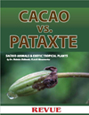 Articles of Cacao vs. pataxte by Nicholas Hellmuth for Revue Magazine La Antigua Guatemala