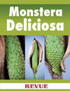 Monstera Deliciosa REVUE