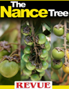 The Nance tree REVUE