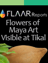 plans utilized by the maya