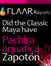 plans utilized by the maya