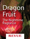 Dragon Fruit The Nighttime Fragance REVUE