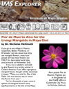 IMS_2014_Nov_Nicholas-Hellmuth_FLAAR_article_marigolds-Flor-de-Muerto_Tagetes