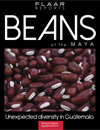 Beans of the Maya. Flaar Report