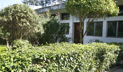 Hotel Jaguar Inn Garden Peten Guatemala Maya-archaeology