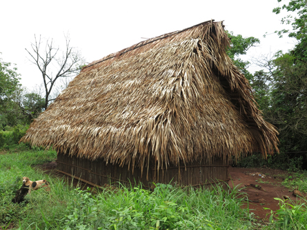 Corozo-palm-thatch-mayan-house-architecture-photography