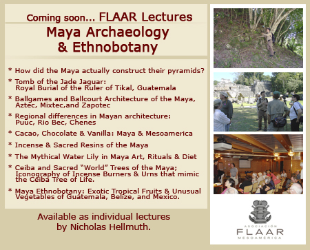 Banner lectures coming soon Nicholas Hellmuth Maya Archaeology