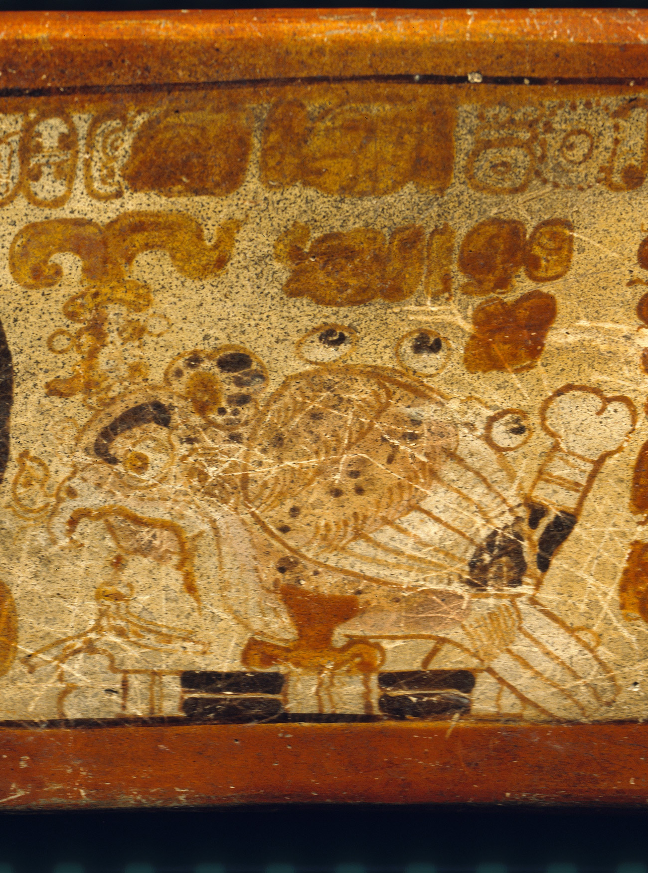 Castillo-bowl-MPV-FLAAR-Maya-vase-rollout-iconography-owl-bone-throne-photograph-5