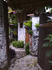 Inside posada Schumann maya archaeology