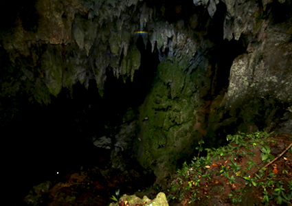 Cahabon-Caves-Secanante-Golondrinas-Alta-Verapaz-image