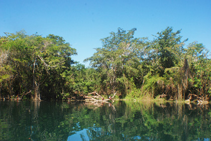 Tigre area of Peten, Las Guacamayas Biological Station