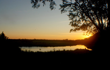 Las Guacamayas Biological Station, Peten, Guatemala