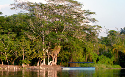 Laguna del Tigre area of Peten, Las Guacamayas Biological Station