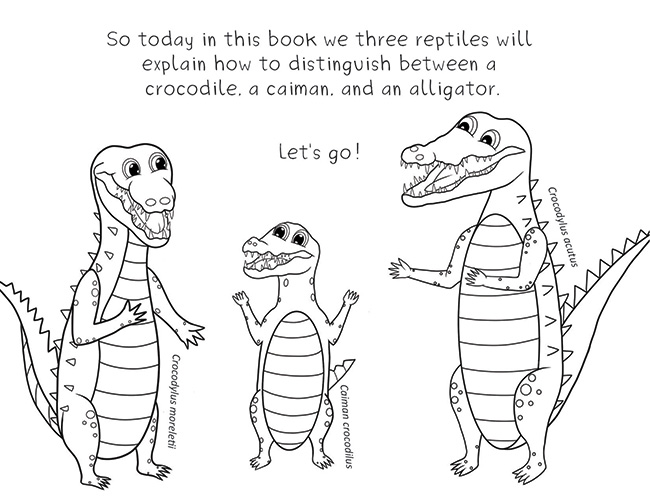 Three reptiles scene JS FLAAR Jul 2017