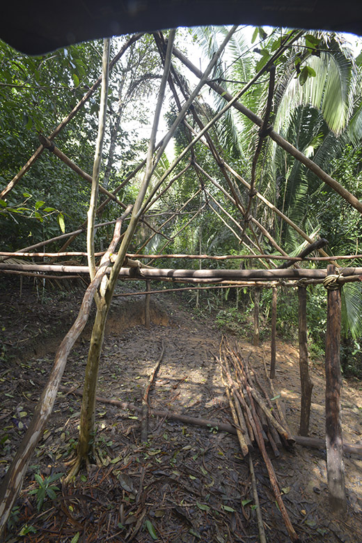 grass-palm-thatch-roofs DSC0902