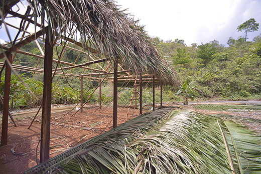 grass-palm-thatch-roofs DSC4441