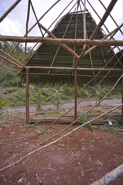 grass-palm-thatch-roofs DSC4447