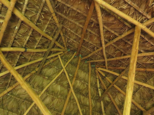 Junco palm thatch roofed house (exterior view). Taken with a Canon PowerShot G18, June 2014, Rio Ixbolay. Most Canon PowerShot cameras have quirks and we do not recommend them whatsoever