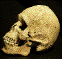 Skull Maya Archaeology