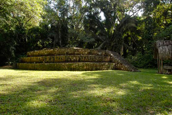 Ceibal site maya archaeology