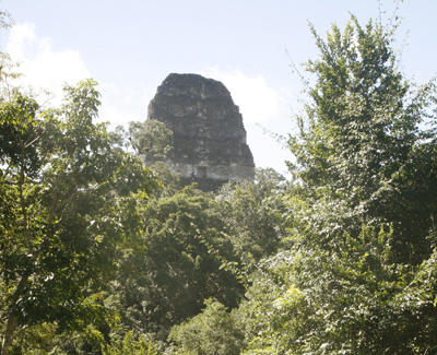 Temple V Tikal Guatemala Maya Archaeology