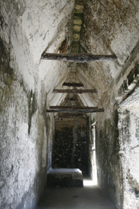 Tikal architecture