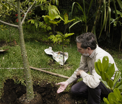Planting Ceiba tree in FLAAR's garden