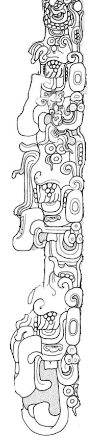 Cauac-Monster-Stela-B-CPN-3-north-side-drawing-Anne-Dowd-and-Barbara-Fash-Copan-Monuments-BookAgurcia-and-Veliz