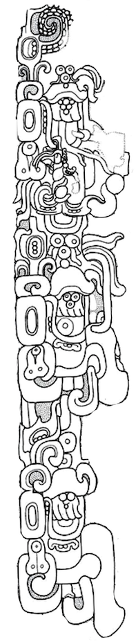 Cauac-Monster-Stela-B-CPN-3-south-side-drawing-Anne-Dowd-and-Barbar-Fash-Copan-Monuments-Book-Agurcia-and-Veliz