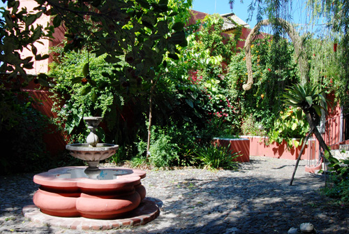 Casa Lefebvre, flowers and gardens